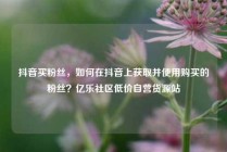 抖音买粉丝,如何在抖音上获取并使用购买的粉丝?亿乐社区低价自营货源站