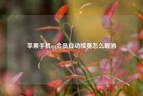 苹果手机qq会员自动续费怎么取消