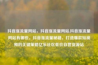 抖音涨流量网站，抖音涨流量网站,抖音涨流量网站有哪些，抖音涨流量秘籍，打造爆款短视频的关键策略亿乐社区低价自营货源站