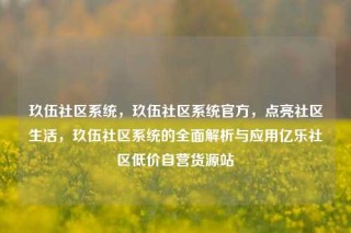 玖伍社区系统，玖伍社区系统官方，点亮社区生活，玖伍社区系统的全面解析与应用亿乐社区低价自营货源站