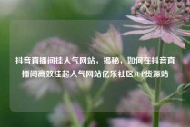 抖音直播间挂人气网站,揭秘,如何在抖音直播间高效挂起人气网站亿乐社区SUP货源站