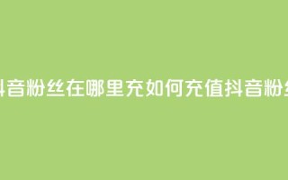 抖音粉丝在哪里充(如何充值抖音粉丝？)