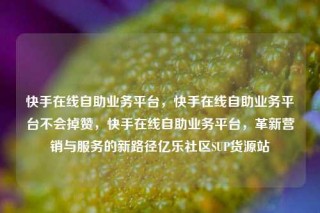 快手在线自助业务平台,快手在线自助业务平台不会掉赞,快手在线自助业务平台,革新营销与服务的新路径亿乐社区SUP货源站