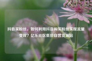 抖音买粉丝,如何利用抖音购买粉丝实现流量变现?亿乐社区低价自营货源站