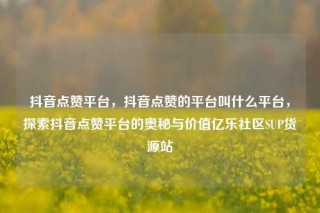 抖音点赞平台，抖音点赞的平台叫什么平台，探索抖音点赞平台的奥秘与价值亿乐社区SUP货源站
