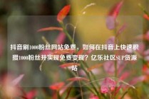 抖音刷1000粉丝网站免费,如何在抖音上快速积攒1000粉丝并实现免费变现?亿乐社区SUP货源站