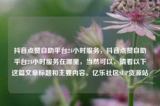 抖音点赞自助平台24小时服务,抖音点赞自助平台24小时服务在哪里,当然可以,请看以下这篇文章标题和主要内容。亿乐社区SUP货源站