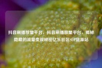 抖音刷播放量平台，抖音刷播放量平台，揭秘隐藏的流量变现秘密亿乐社区SUP货源站