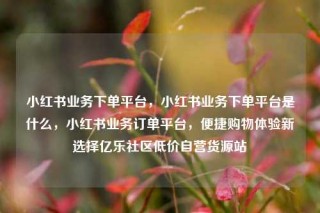 小红书业务下单平台,小红书业务下单平台是什么,小红书业务订单平台,便捷购物体验新选择亿乐社区低价自营货源站