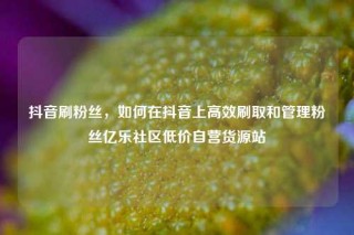 抖音刷粉丝,如何在抖音上高效刷取和管理粉丝亿乐社区低价自营货源站