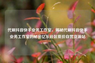 代刷抖音快手业务工作室，揭秘代刷抖音快手业务工作室的秘密亿乐社区低价自营货源站