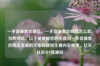 一手货源低价商品，一手货源低价商品怎么卖，当然可以。以下是根据您的关键词一手货源低价商品生成的文章标题和主要内容概述，亿乐社区SUP货源站