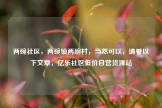 两碗社区,两碗镇两碗村,当然可以,请看以下文章,亿乐社区低价自营货源站