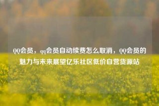 QQ会员，qq会员自动续费怎么取消，QQ会员的魅力与未来展望亿乐社区低价自营货源站