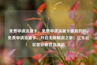 免费申请流量卡,免费申请流量卡是真的吗,免费申请流量卡,开启无限畅游之旅!亿乐社区低价自营货源站