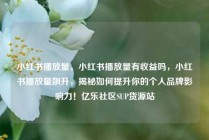 小红书播放量，小红书播放量有收益吗，小红书播放量飙升，揭秘如何提升你的个人品牌影响力！亿乐社区SUP货源站