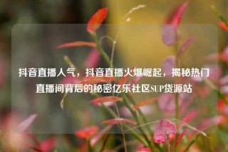 抖音直播人气,抖音直播火爆崛起,揭秘热门直播间背后的秘密亿乐社区SUP货源站