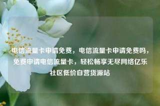电信流量卡申请免费,电信流量卡申请免费吗,免费申请电信流量卡,轻松畅享无尽网络亿乐社区低价自营货源站