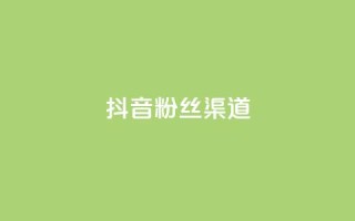 抖音粉丝渠道 - 抖音粉丝获取的途径有哪些？~