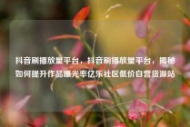 抖音刷播放量平台，抖音刷播放量平台，揭秘如何提升作品曝光率亿乐社区低价自营货源站