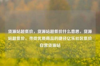 货源站超低价,货源站超低价什么意思,货源站超低价,寻找优质商品的捷径亿乐社区低价自营货源站