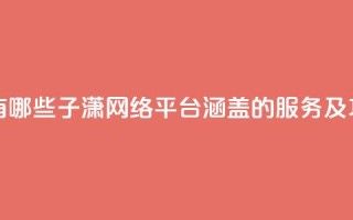 子潇网络平台有哪些 - 子潇网络平台:涵盖的服务及功能一览!