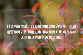 抖音刷播放量,抖音增加播放量的软件,抖音运营策略,如何通过刷播放量提升影响力与收入亿乐社区低价自营货源站
