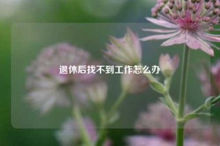 退休后找不到工作怎么办
