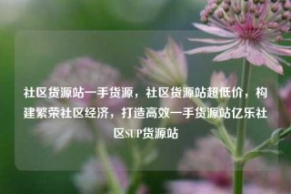 社区货源站一手货源,社区货源站超低价,构建繁荣社区经济,打造高效一手货源站亿乐社区SUP货源站