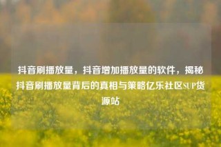 抖音刷播放量，抖音增加播放量的软件，揭秘抖音刷播放量背后的真相与策略亿乐社区SUP货源站