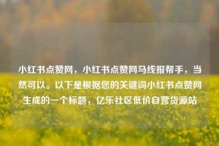 小红书点赞网,小红书点赞网马线报帮手,当然可以。以下是根据您的关键词小红书点赞网生成的一个标题,亿乐社区低价自营货源站