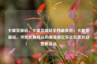 卡盟货源站,卡盟货源站全网最低价,卡盟货源站,寻找优质商品的新渠道亿乐社区低价自营货源站