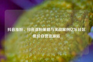抖音涨粉，抖音涨粉策略与实战案例亿乐社区低价自营货源站