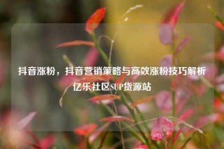 抖音涨粉，抖音营销策略与高效涨粉技巧解析亿乐社区SUP货源站