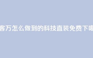 qq访客2万怎么做到的 - cfm科技直装免费