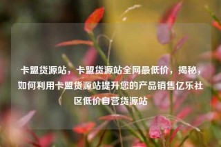 卡盟货源站,卡盟货源站全网最低价,揭秘,如何利用卡盟货源站提升您的产品销售亿乐社区低价自营货源站
