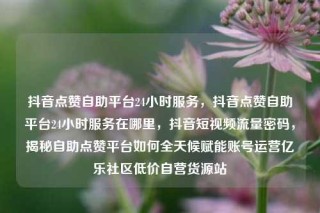 抖音点赞自助平台24小时服务,抖音点赞自助平台24小时服务在哪里,抖音短视频流量密码,揭秘自助点赞平台如何全天候赋能账号运营亿乐社区低价自营货源站