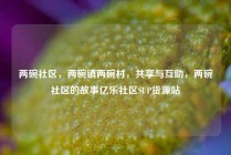 两碗社区，两碗镇两碗村，共享与互助，两碗社区的故事亿乐社区SUP货源站