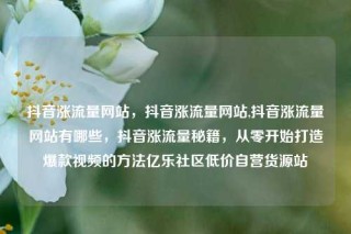 抖音涨流量网站，抖音涨流量网站,抖音涨流量网站有哪些，抖音涨流量秘籍，从零开始打造爆款视频的方法亿乐社区低价自营货源站