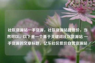 社区货源站一手货源,社区货源站超低价,当然可以。以下是一个基于关键词社区货源站 一手货源的文章标题,亿乐社区低价自营货源站