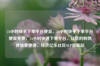 24小时快手下单平台便宜，24小时快手下单平台便宜免费，24小时快速下单平台，让您的购物体验更便捷、经济亿乐社区SUP货源站