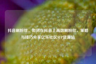 抖音刷粉丝，如何在抖音上高效刷粉丝，策略与技巧分享亿乐社区SUP货源站