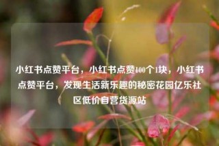 小红书点赞平台,小红书点赞100个1块,小红书点赞平台,发现生活新乐趣的秘密花园亿乐社区低价自营货源站