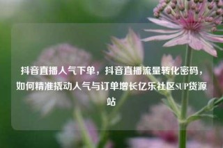 抖音直播人气下单,抖音直播流量转化密码,如何精准撬动人气与订单增长亿乐社区SUP货源站