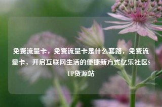 免费流量卡，免费流量卡是什么套路，免费流量卡，开启互联网生活的便捷新方式亿乐社区SUP货源站