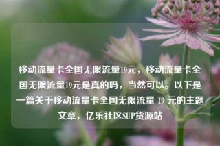 移动流量卡全国无限流量19元,移动流量卡全国无限流量19元是真的吗,当然可以。以下是一篇关于移动流量卡全国无限流量 19 元的主题文章,亿乐社区SUP货源站