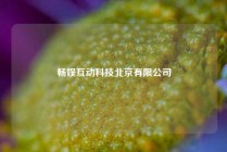畅娱互动科技北京有限公司