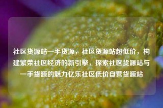 社区货源站一手货源,社区货源站超低价,构建繁荣社区经济的新引擎,探索社区货源站与一手货源的魅力亿乐社区低价自营货源站