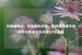 抖音刷粉丝,抖音刷粉攻略,如何高效提升你的粉丝数量亿乐社区SUP货源站