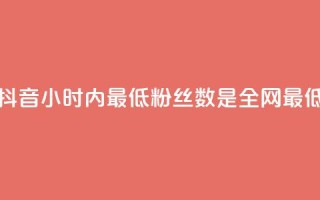 抖音24小时内最低粉丝数是全网最低